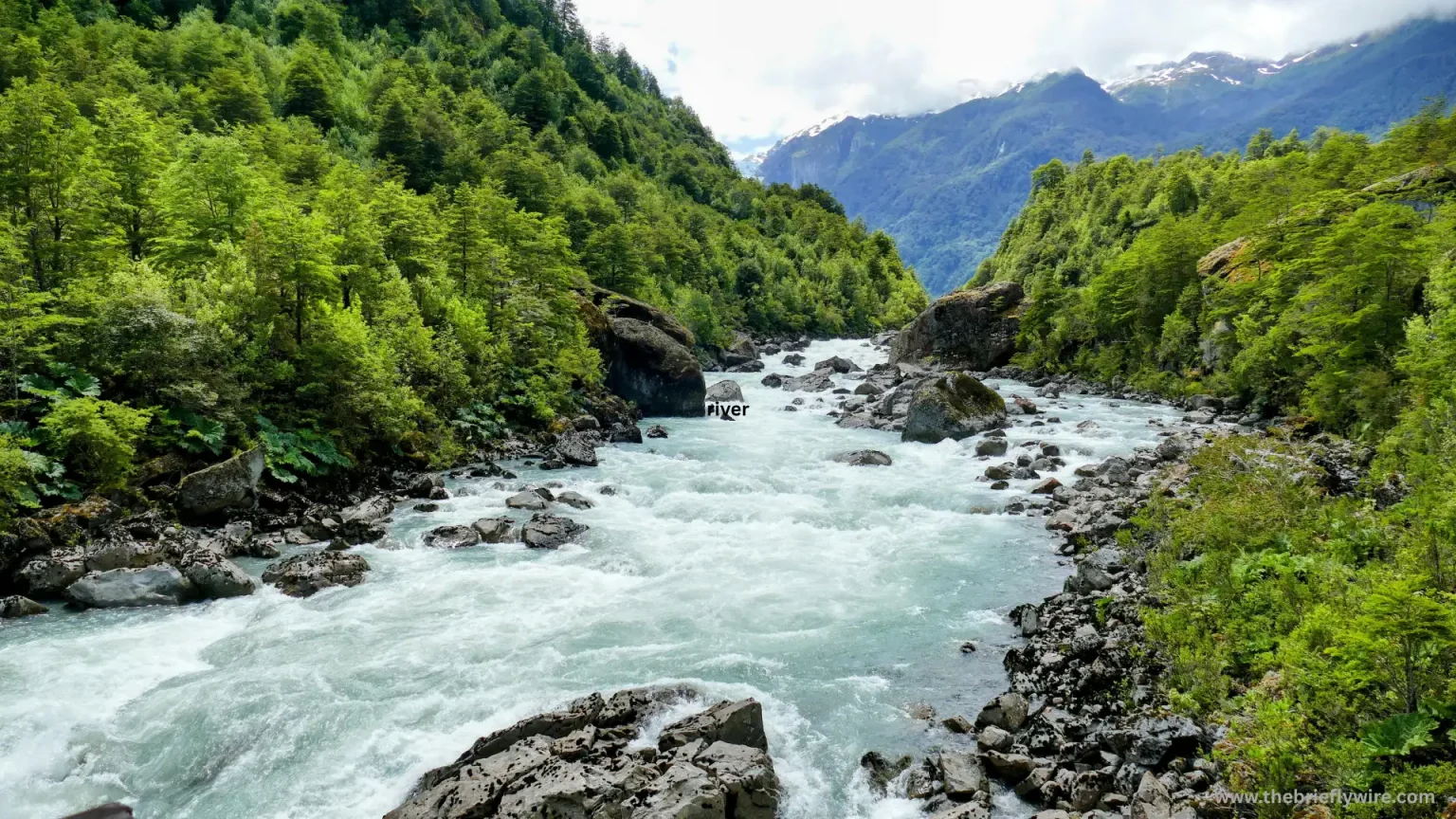 How Do Rivers Form International Borders Between Countries? A Complete Guide